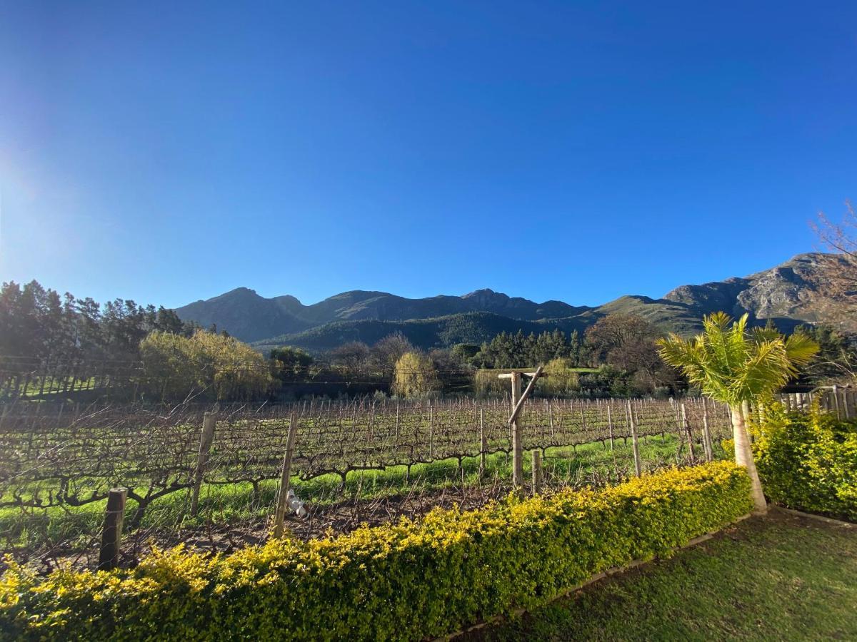 Olive And Vine Farm Cottage Franschhoek Zewnętrze zdjęcie