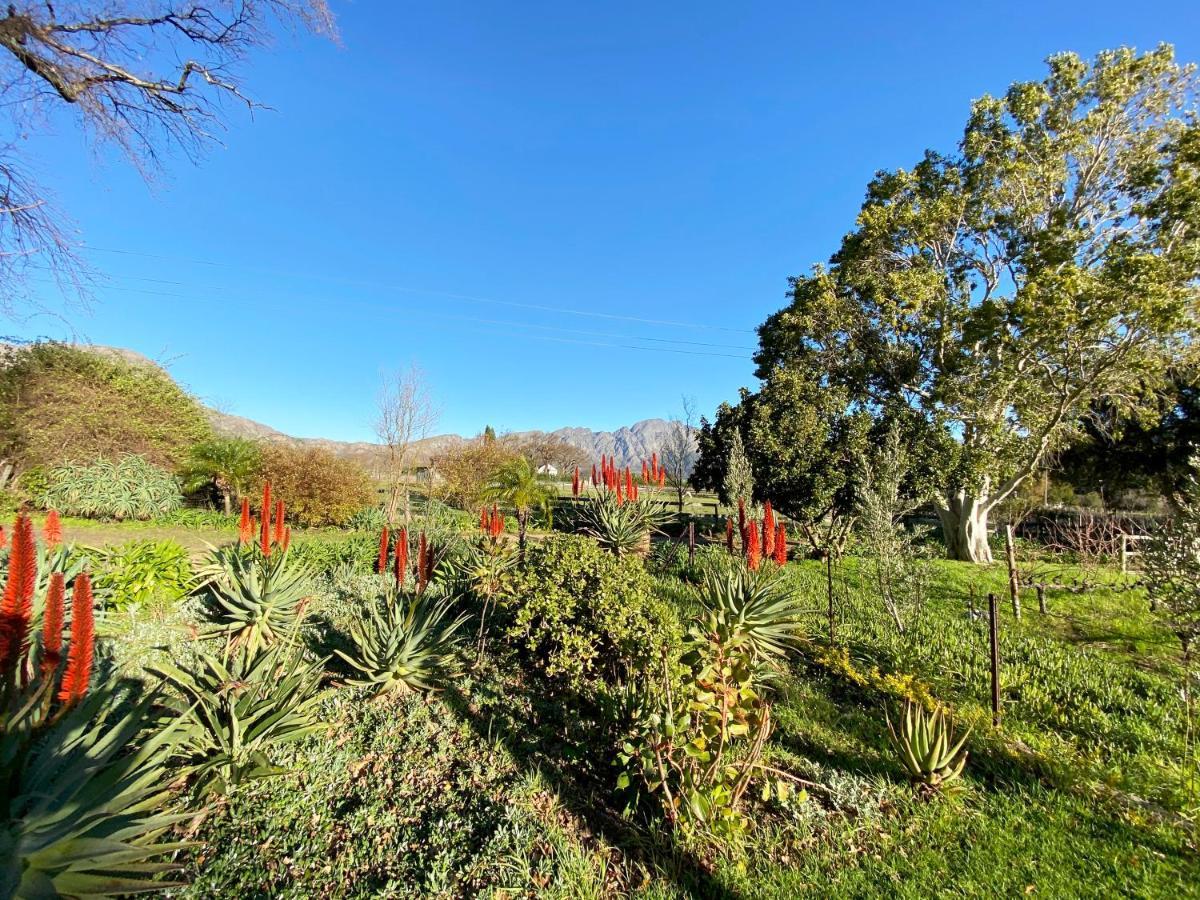Olive And Vine Farm Cottage Franschhoek Zewnętrze zdjęcie