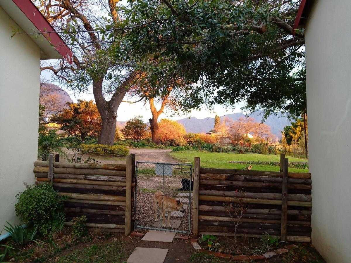 Olive And Vine Farm Cottage Franschhoek Zewnętrze zdjęcie