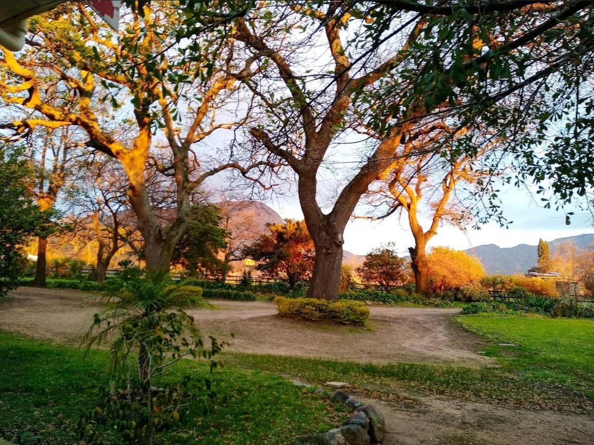 Olive And Vine Farm Cottage Franschhoek Zewnętrze zdjęcie