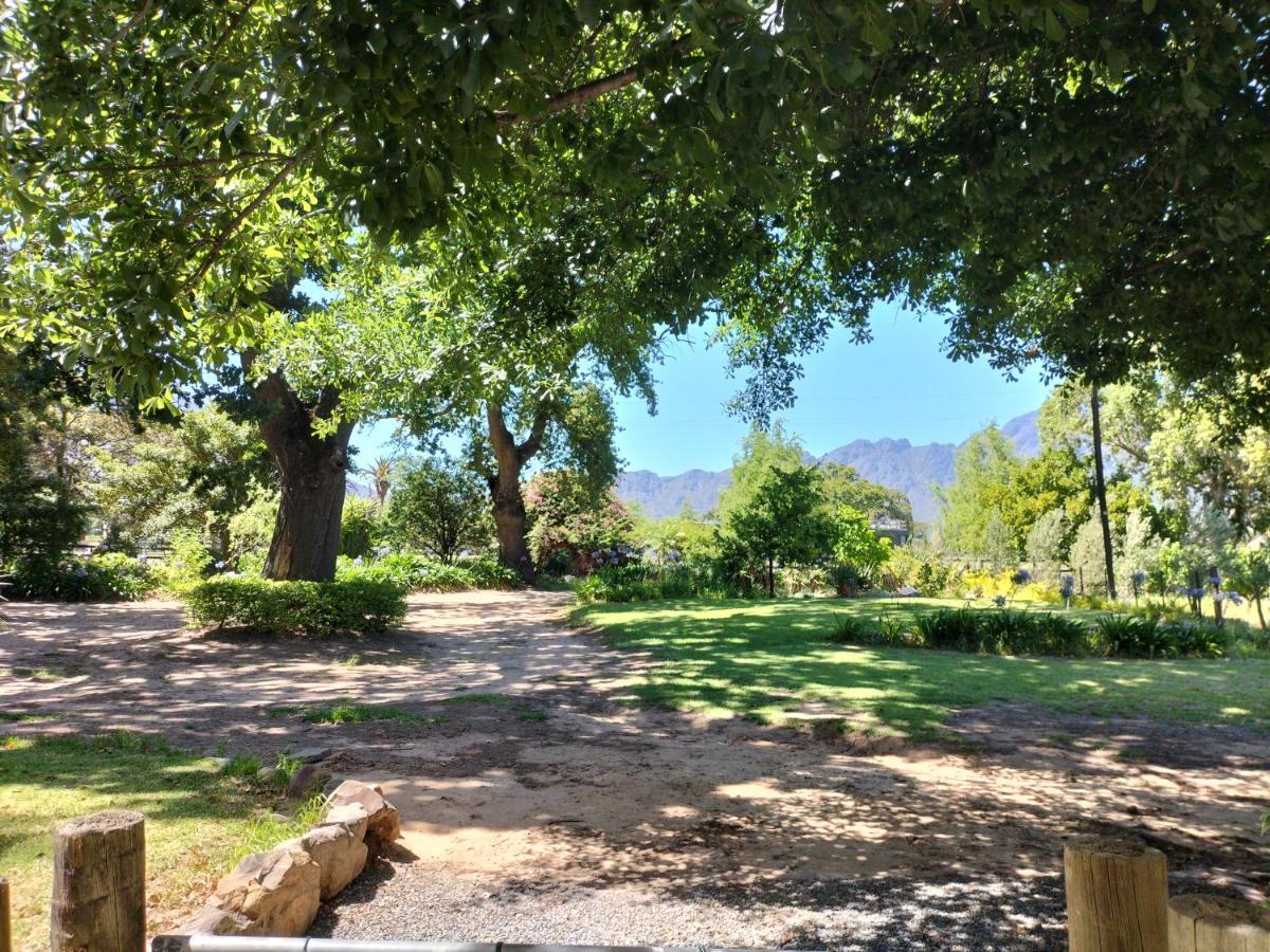 Olive And Vine Farm Cottage Franschhoek Zewnętrze zdjęcie