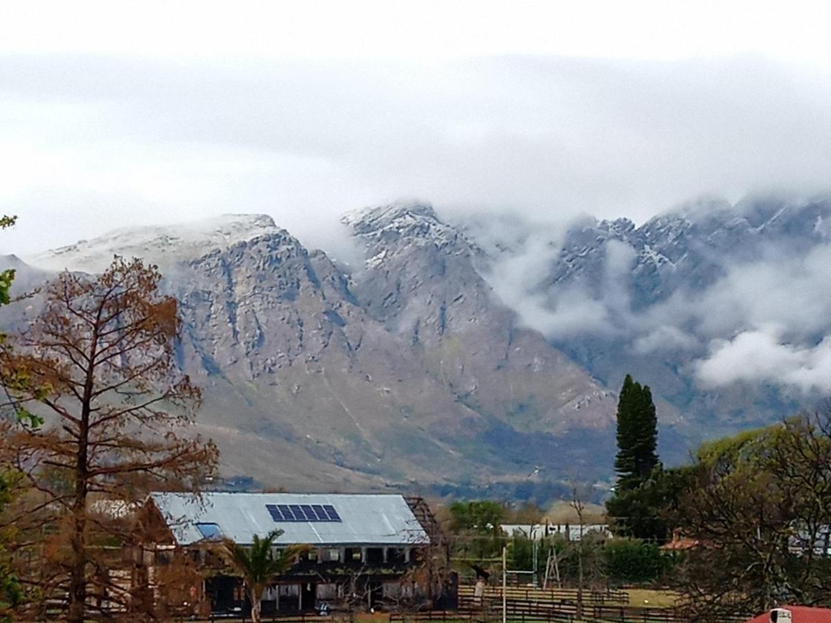 Olive And Vine Farm Cottage Franschhoek Zewnętrze zdjęcie