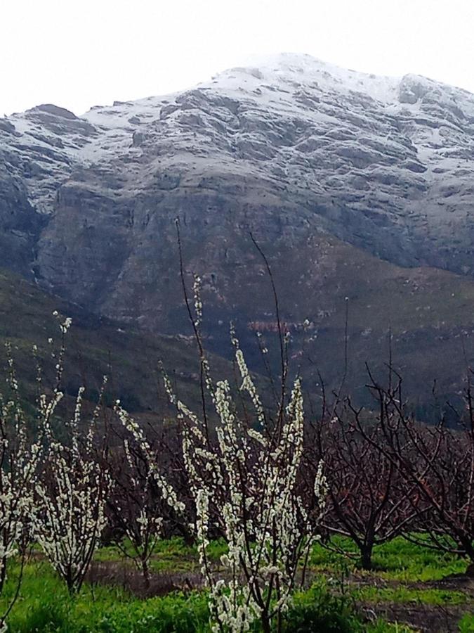 Olive And Vine Farm Cottage Franschhoek Zewnętrze zdjęcie