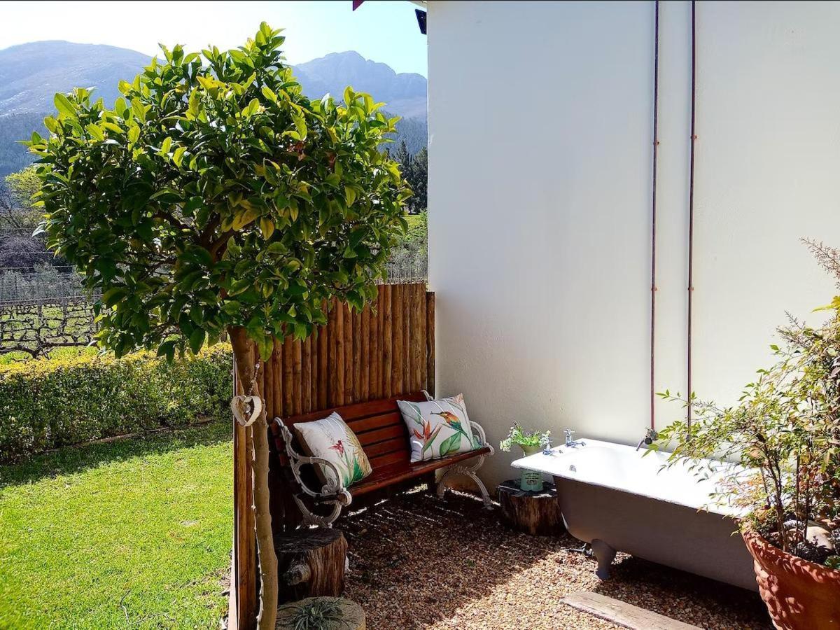 Olive And Vine Farm Cottage Franschhoek Pokój zdjęcie