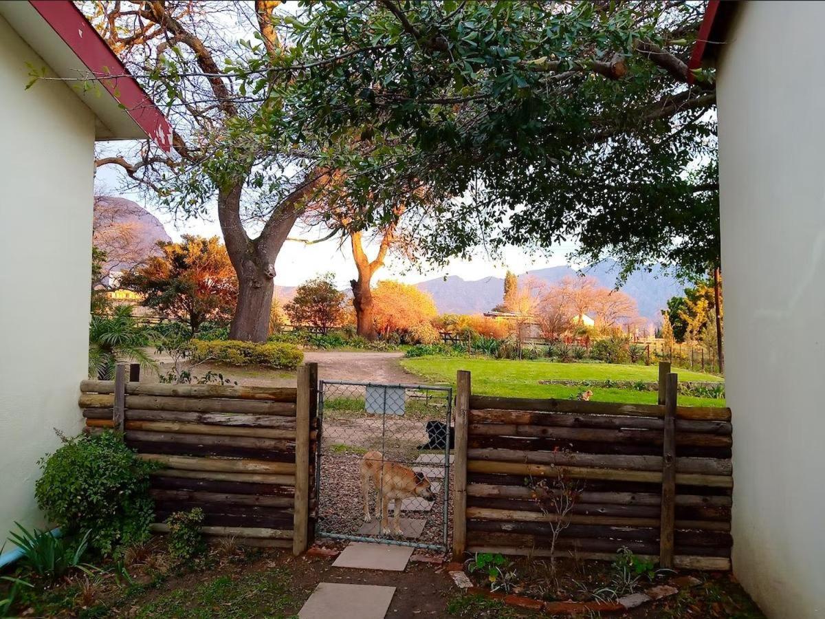 Olive And Vine Farm Cottage Franschhoek Pokój zdjęcie